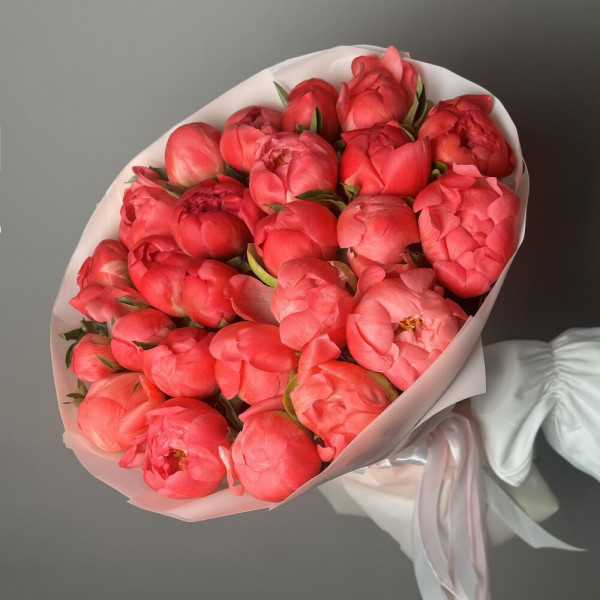 25 Коралловых Пион